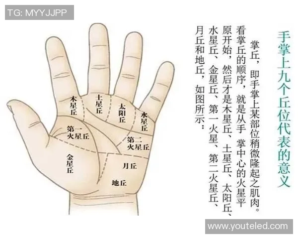 揭秘上海足球明星的手相特征与命运解析图解 揭秘上海足球明星的手相特征与命运解析图解