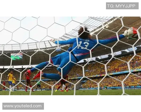 2016年巴西足球明星的辉煌成就与精彩瞬间回顾