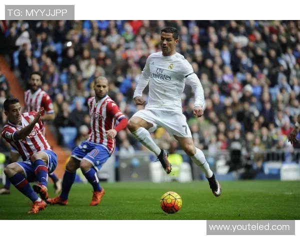 厦门足球明星盘点：那些在绿茵场上闪耀的本土英雄