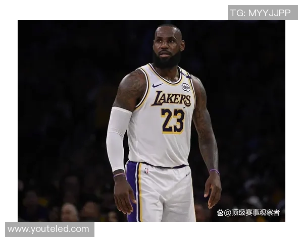 篮球明星的层次划分与职业生涯发展路径探讨